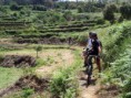 Monchique passeio down hill em terra batida
